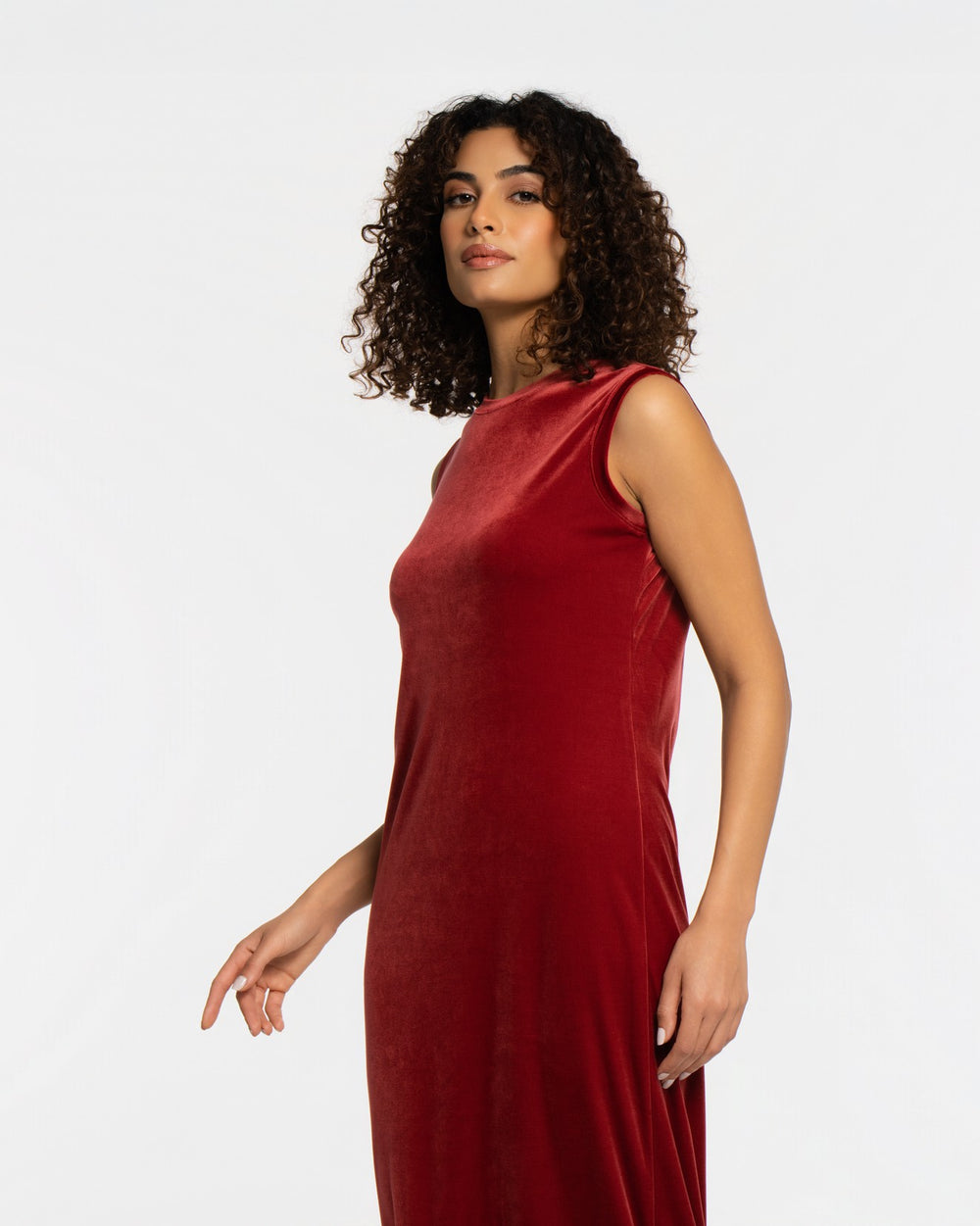 Panne Velour Shift Dress - SEASONAL DARK RED