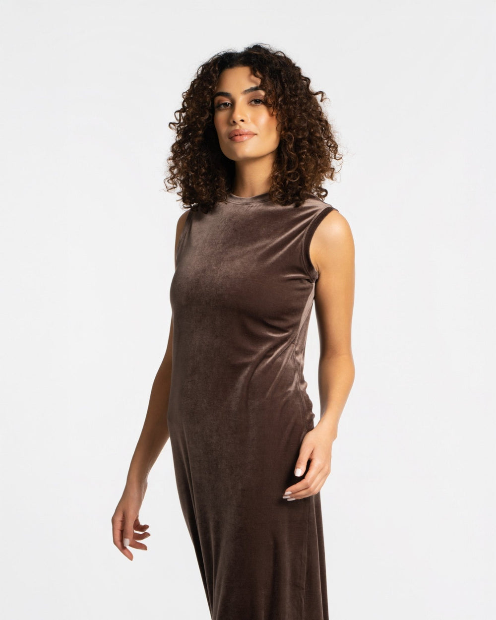 Panne Velour Shift Dress - SEASONAL CHOCOLATE