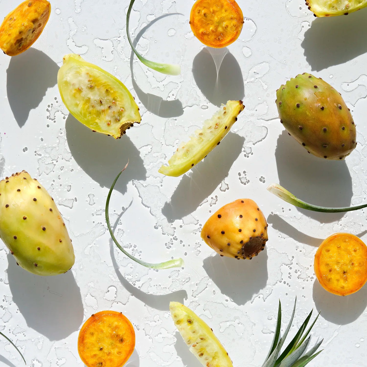 An image featuring  prickly pear pieces and leaves, alongside the Cactus Water extracted from them Kayanee