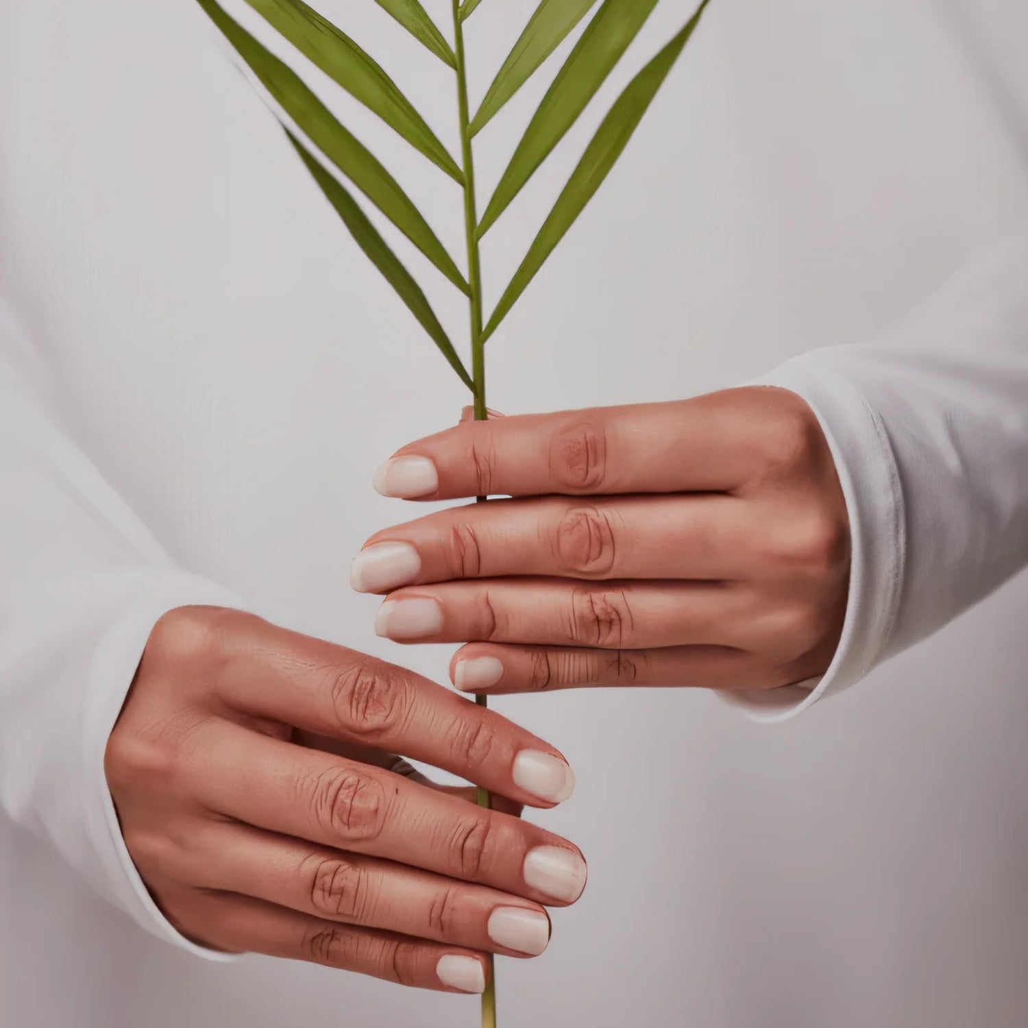 A hand holding a green plant, indicating Kayanee's commitment to using sustainable natural materials in its products