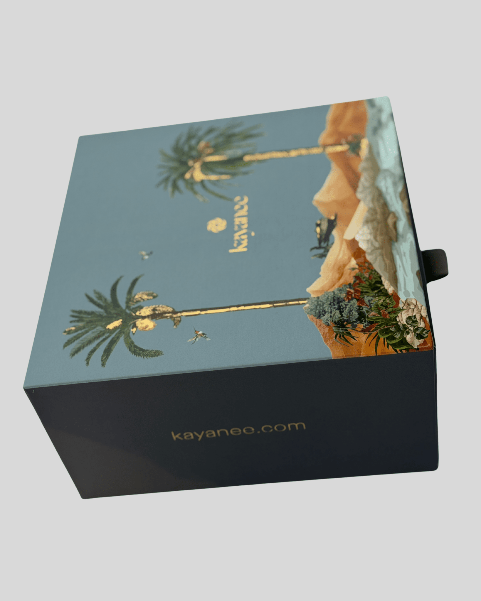 Palm Tree Gift Box